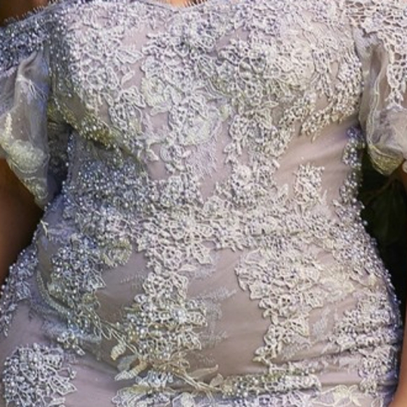 COPY - Plus size formal evening mother of the bride dress - Picture 7 of 8